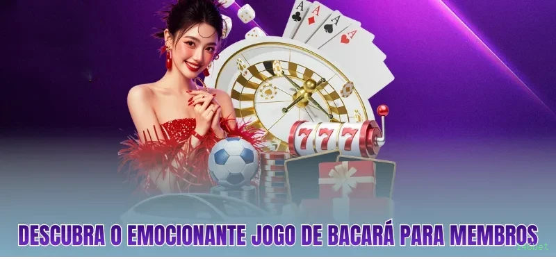 Apostas esportivas ao vivo na 146bet